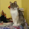 Отзыв от Гульнара Жарова